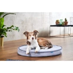 ZooRoyal Orthopädisches Hundekissen Elias Rund Grau -Heimtierbedarf Geschäft zooroyal hundekissen elias rund grau 4