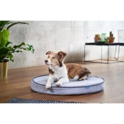 ZooRoyal Orthopädisches Hundekissen Elias Rund Grau -Heimtierbedarf Geschäft zooroyal hundekissen elias rund grau 5