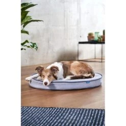 ZooRoyal Orthopädisches Hundekissen Elias Rund Grau -Heimtierbedarf Geschäft zooroyal hundekissen elias rund grau 7