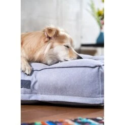 ZooRoyal Hundekissen Max Grau 21 ZooRoyal Hundekissen Max Grau -Heimtierbedarf Geschäft zooroyal hundekissen max grau 8