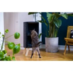 ZooRoyal Kratztonne Ava 85cm Filz Anthrazit -Heimtierbedarf Geschäft zooroyal kratztonne ava 7