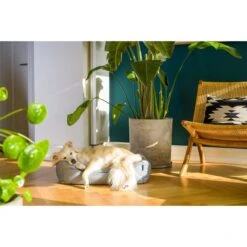 ZooRoyal Outdoorbett Noah 26 ZooRoyal Outdoorbett Noah -Heimtierbedarf Geschäft zooroyal outdoorbett noah 5