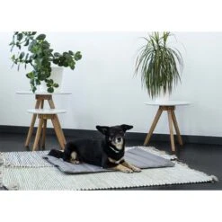 ZooRoyal Reisedecke Sam 75x60cm 10 ZooRoyal Reisedecke Sam 75x60cm -Heimtierbedarf Geschäft zooroyal reisedecke sam dunkelgrau 3