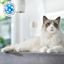 ZooRoyal Tigrooo Blue Magic -Heimtierbedarf Geschäft zooroyal tigrooo blue magic neu 3