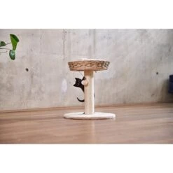 ZooRoyal Kratzbaum Karla 48,5 Cm Creme -Heimtierbedarf Geschäft zooroyal kratzbaum karla 48 5cm creme web 1