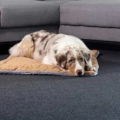 ZooRoyal Premium Haustier Kuscheldecke Luna 115x71 Cm 9 ZooRoyal Premium Haustier Kuscheldecke Luna 115x71 Cm -Heimtierbedarf Geschäft zooroyal kuscheldecke luna braun web 3