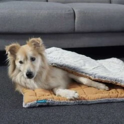 ZooRoyal Premium Haustier Kuscheldecke Luna 115x71 Cm 11 ZooRoyal Premium Haustier Kuscheldecke Luna 115x71 Cm -Heimtierbedarf Geschäft zooroyal kuscheldecke luna braun web 5